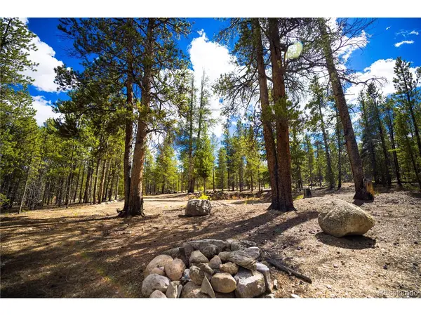 247 Juniper, Twin Lakes, CO 80461
