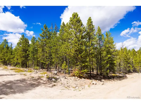 247 Juniper, Twin Lakes, CO 80461
