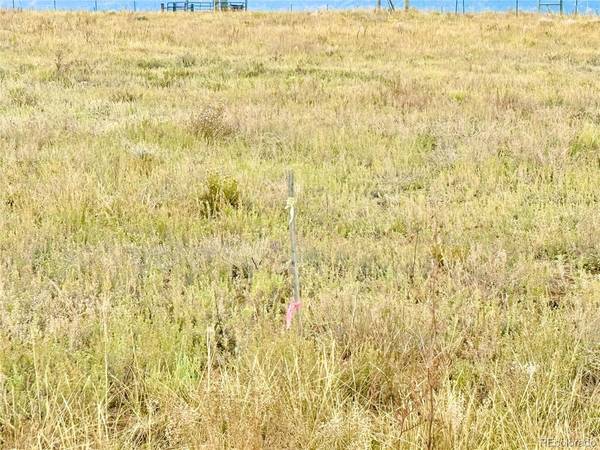 119 Fawn, Westcliffe, CO 81252