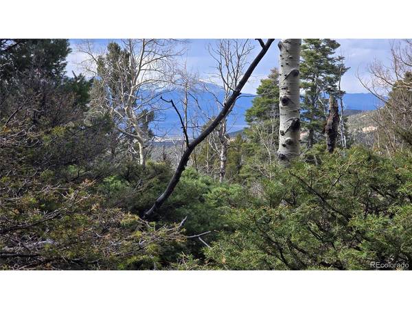 5261 Scott, Fort Garland, CO 81133