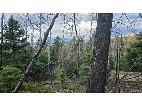 5261 Scott, Fort Garland, CO 81133