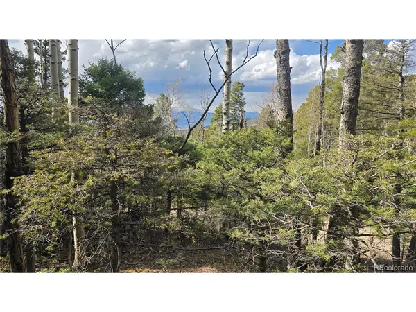 5261 Scott, Fort Garland, CO 81133