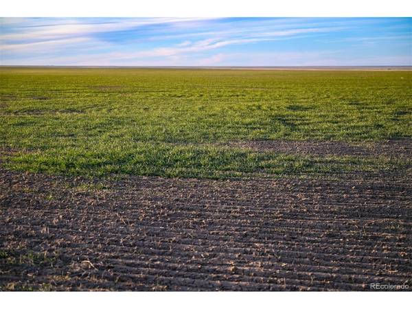 TBD County Road 30, Haswell, CO 81045