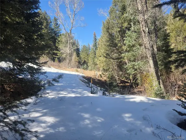 Fall River, Idaho Springs, CO 80452