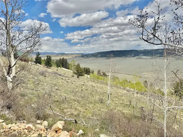 5544 Middle Fork Vista, Fairplay, CO 80420