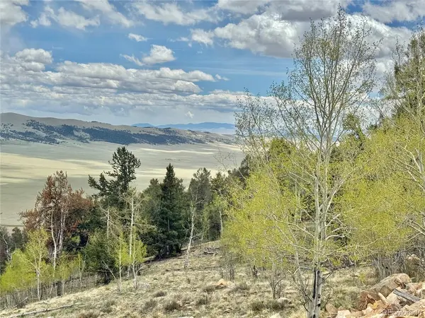 5544 Middle Fork Vista, Fairplay, CO 80420
