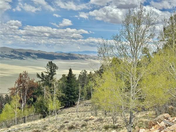 5544 Middle Fork Vista, Fairplay, CO 80420