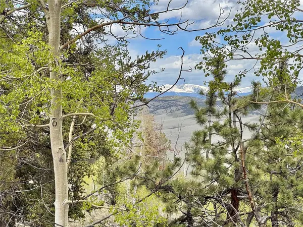5544 Middle Fork Vista, Fairplay, CO 80420