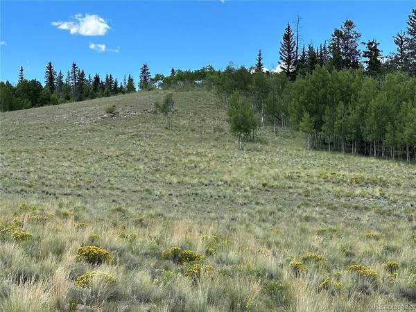 95 Wabeno, Jefferson, CO 80456