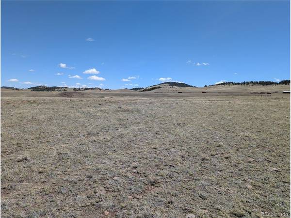 County Road 118, Hartsel, CO 80449