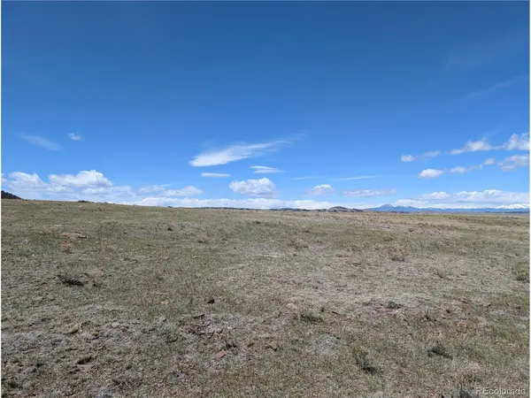 County Road 118, Hartsel, CO 80449