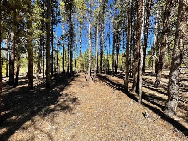 300 Virginia, Leadville, CO 80461