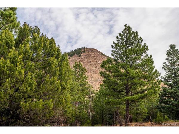 881 Vista De Aspen, Westcliffe, CO 81252