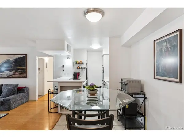 790 N Washington #305, Denver, CO 80203