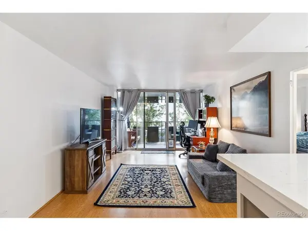 790 N Washington #305, Denver, CO 80203