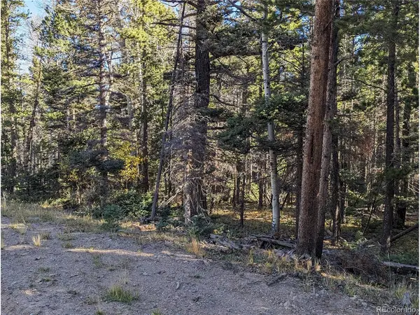 3067 Forbes Park, Fort Garland, CO 81133