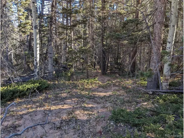 3067 Forbes Park, Fort Garland, CO 81133