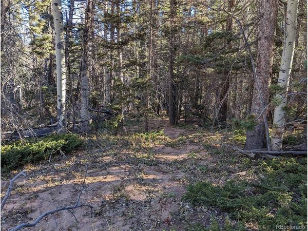 3067 Forbes Park, Fort Garland, CO 81133