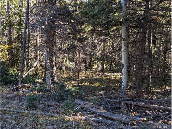 3067 Forbes Park, Fort Garland, CO 81133