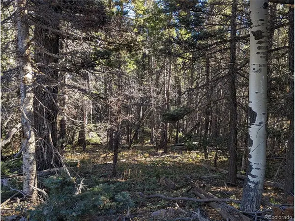 3067 Forbes Park, Fort Garland, CO 81133