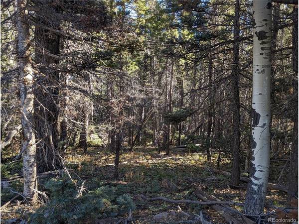 3067 Forbes Park, Fort Garland, CO 81133