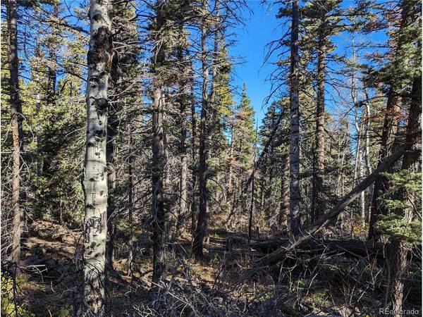 3067 Forbes Park, Fort Garland, CO 81133