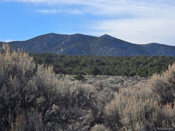1978 Yablin Rd., Fort Garland, CO 81133