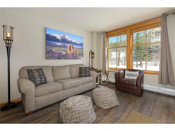 201 Zephyr #2008, Winter Park, CO 80482