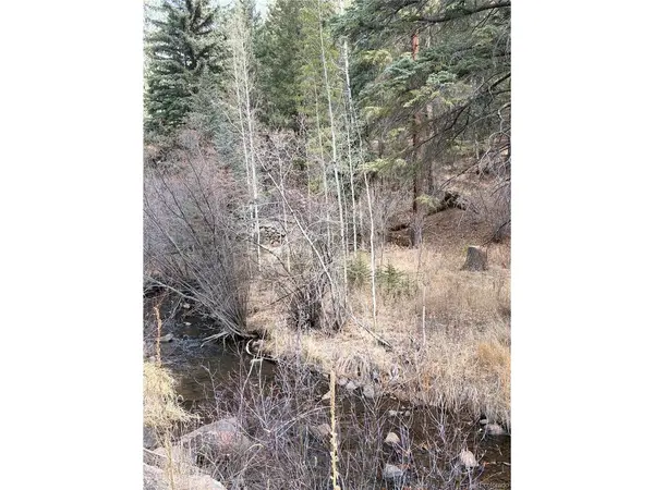 0 S Elk Creek, Pine, CO 80470