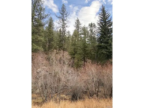 0 S Elk Creek, Pine, CO 80470