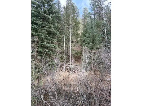 0 S Elk Creek, Pine, CO 80470