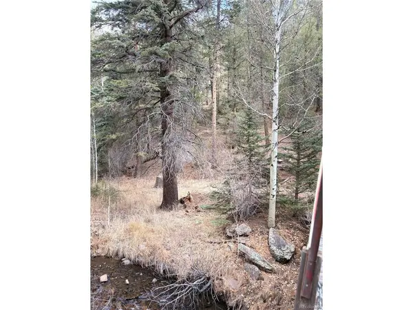 0 S Elk Creek, Pine, CO 80470