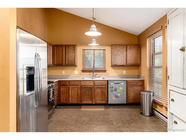 65 Silver Springs, Bailey, CO 80421
