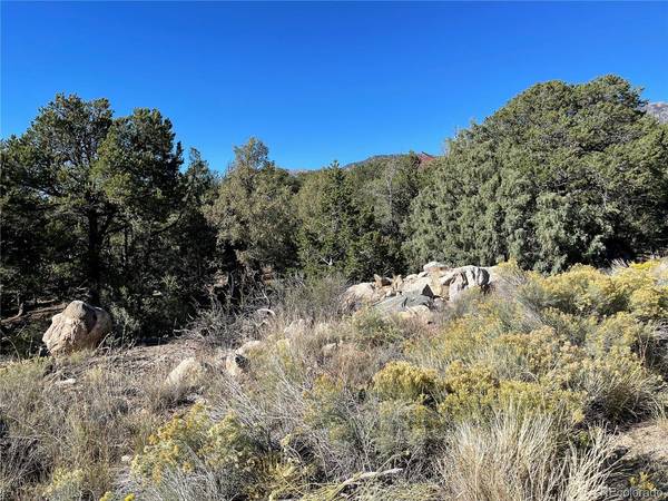 1919 Lone Pine, Crestone, CO 81131