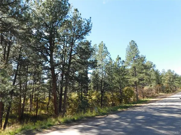 682 Copper Fox, Larkspur, CO 80118