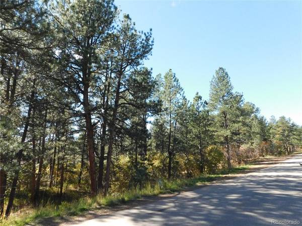 682 Copper Fox, Larkspur, CO 80118