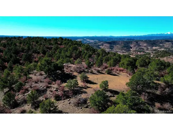 11298 Primero, Trinidad, CO 81082