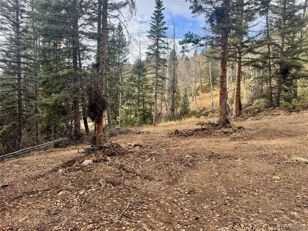 Ryland, San Luis, CO 81152