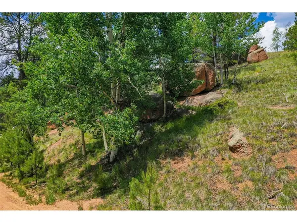 525 Spring Valley, Florissant, CO 80816