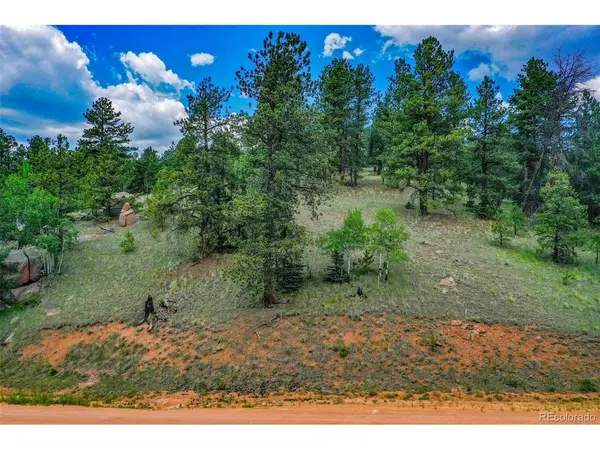 525 Spring Valley, Florissant, CO 80816