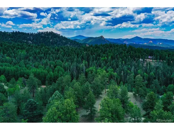 525 Spring Valley, Florissant, CO 80816