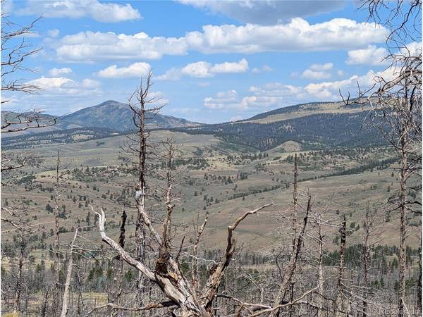 349 MacNaughton, Fort Garland, CO 81133