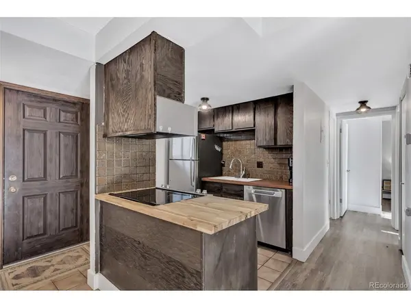 1901 Clear Creek #E102, Georgetown, CO 80444