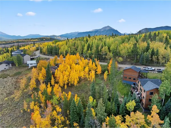 Address not disclosed, Silverthorne, CO 80498