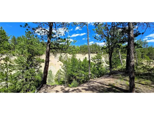 11785 Milam, Colorado Springs, CO 80908