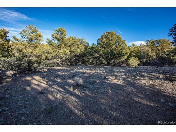 5450 Longbranch, Salida, CO 81201