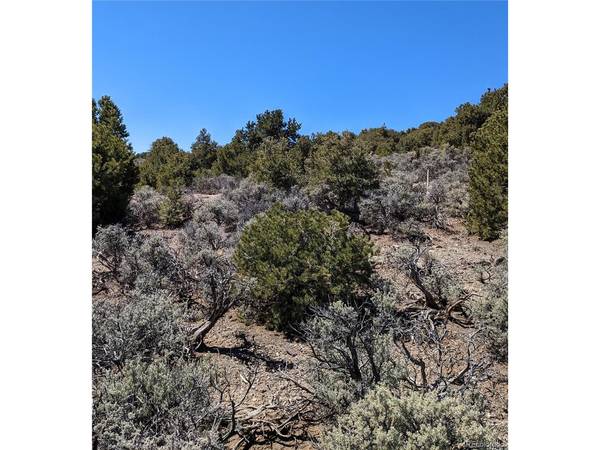 13 Eastridge, San Luis, CO 81152