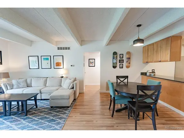 777 N Washington #508, Denver, CO 80203