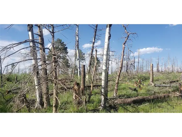 Address not disclosed, Fort Garland, CO 81133