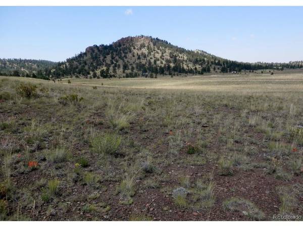 0 Isadowa, Hartsel, CO 80449